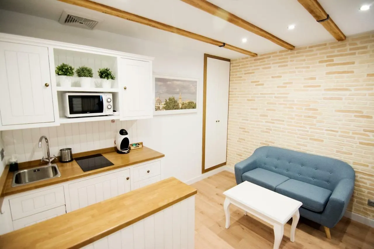 Apartmán Acetres 5 Boutique Sevilla 0*,